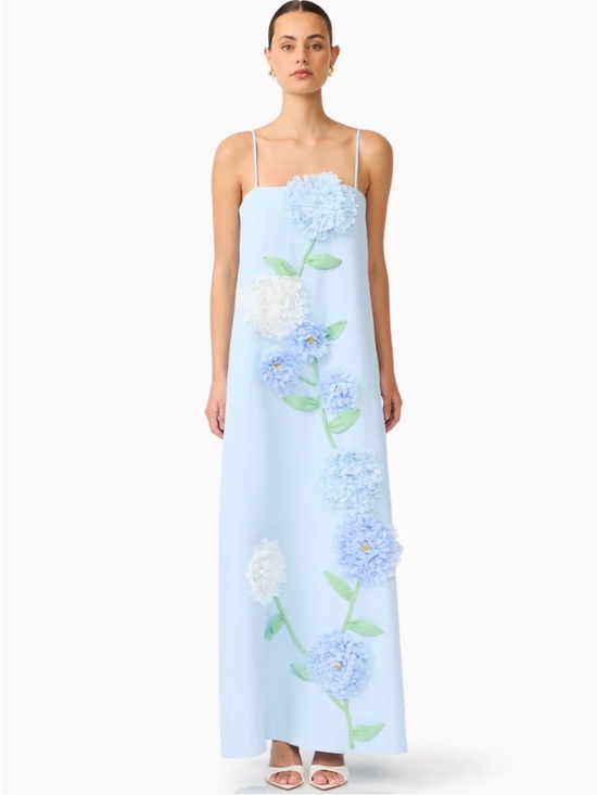 Elliatt Dresses & Skirts - Elliatt ‘Buttercup’ Embroidered Maxi Dress, Blue